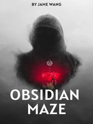 cover image of Obsidian Maze